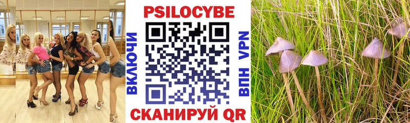 Купить закладки  Торжок  Галлюциногенные грибы ЛСД 